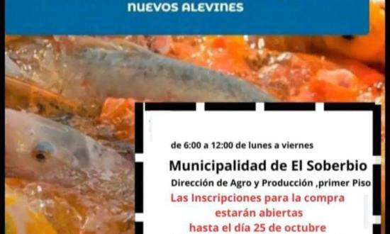 La última semana para realizar la inscripción de compra de alevinos