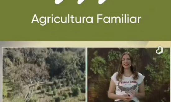 Certificados, sellos y carteles para dos chacras de nuestro municipio