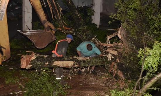 El temporal dejó heridos y una estela de destrucción en Leandro N. Alem: Herrera Ahuad recorrió la zona y dispuso acciones de contención