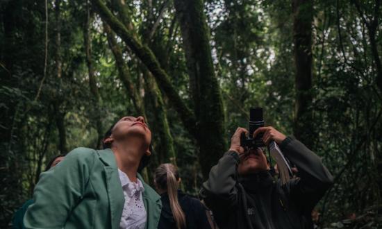 Passalacqua lanzó “Volar 2025”, el primer Encuentro Internacional de Observación de Aves de Misiones
