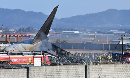 La tragedia aérea en Corea del Sur que causó 179 muertes: un pájaro y fallas en el tren de aterrizaje, entre las causas