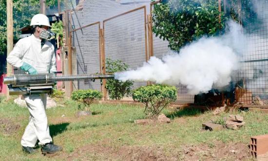 Brote de dengue: Misiones notificó 900 contagios en una semana