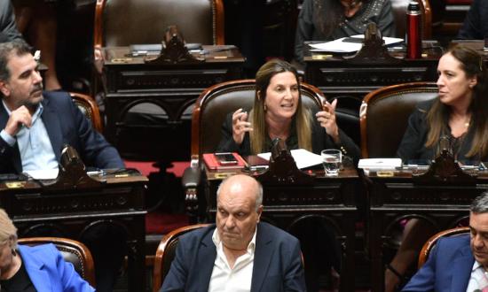 Con el apoyo del oficialismo y la UCR, el PRO volvió a convocar a una sesión para tratar Ficha Limpia en Diputados