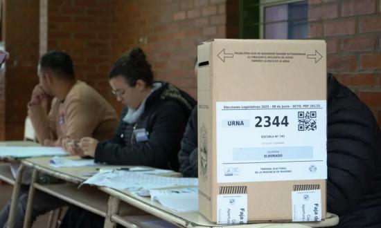 Los diputados elegidos en estos comicios 2025: cómo queda la Cámara