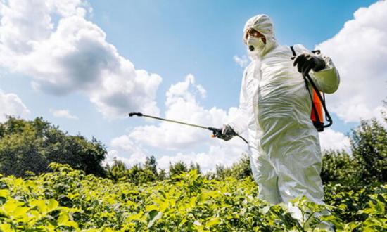 Prórroga del uso del glifosato: punto por punto, productores analizan la medida que no a todos les tocaría