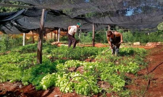 Desde el INTA advierten sobre la llegada de las primeras heladas y los efectos que pueden tener en la producción