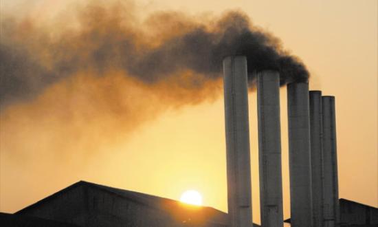 Día Internacional contra el Cambio Climático: Misiones y el plan de lucha ante un panorama mundial con récord de fenómenos climáticos extremos