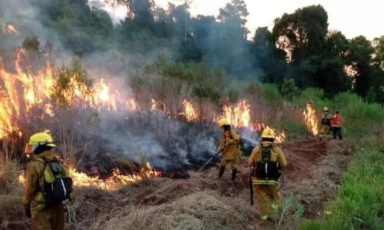 Misiones ya suma siete detenidos por incendios intencionales en lo que va del año...