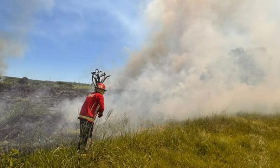 Advierten sobre los efectos de La Niña en Misiones: sequía y riesgo de incendios
