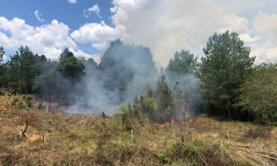 Sofocaron incendios forestales y de malezas en varias localidades de la provincia