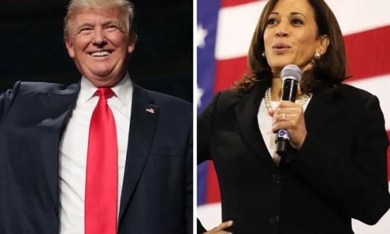 Buenas noticias para Kamala Harris y malas para Donald Trump: esto dicen las encuestas más recientes sobre sus candidaturas
