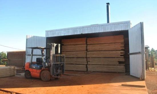 La forestoindustria en Misiones superó los 10 mil trabajadores activos y registró un crecimiento del 4,9% en el último año