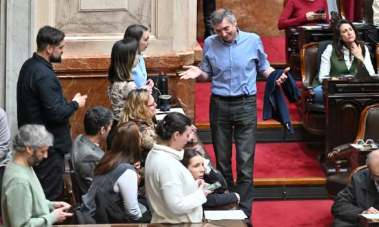 Cámara de Diputados: la oposición logró los votos para discutir hoy el veto de Milei a la ley de emergencia en discapacidad