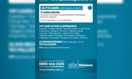 Coronavirus en Misiones: se confirmaron 9 casos y nuevamente no hubo muertes este viernes