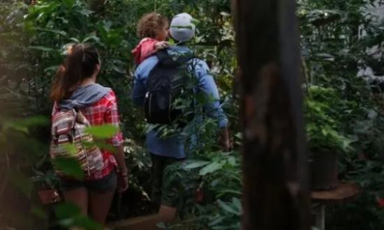 Turismo: este sábado se realizarán las caminatas guiadas por el Moconá