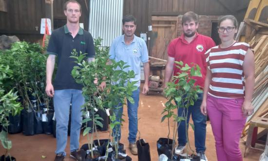 Entregaron plantines de cítricos a albaposeñas...