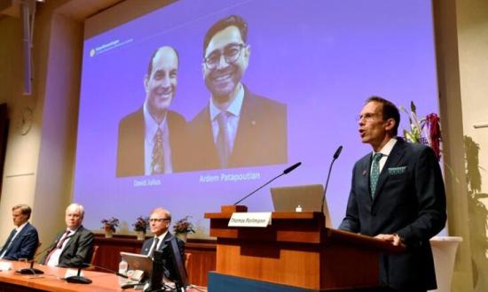 Premios Nobel de Medicina 2021: los hallazgos de los ganadores permitirían desarrollar receptores para temperatura y tacto