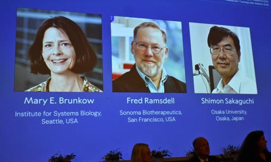 El premio Nobel de Medicina fue otorgado a Mary E. Brunkow, Fred Ramsdell y Shimon Sakaguchi