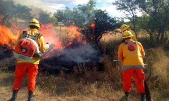 Alerta por incendios en Misiones: Iguazú, Candelaria, San Javier, Concepción de la Sierra y Apóstoles en riesgo extremo