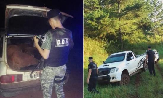 El Soberbio: recuperaron una camioneta robada y carne faenada en operativos rurales