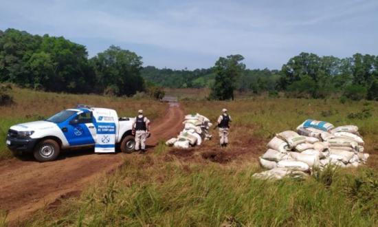 Contrabando de soja hacia Brasil: secuestraron más de 6500 kilos en El Soberbio