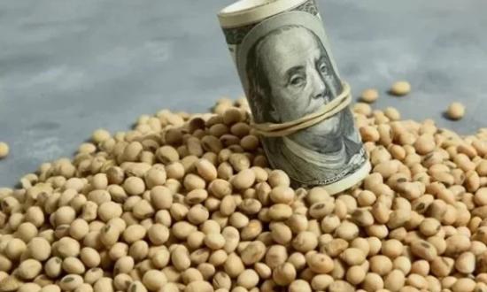Tras el desembolso del FMI, el Gobierno nacional define los detalles del nuevo dólar agro, que regirá desde abril