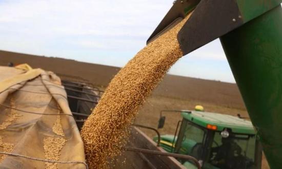 Tras la baja de retenciones, el agro argentino logró un récord de exportaciones, con casi U$S 21.000 millones en el primer semestre
