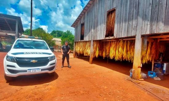 El 60% de la producción de tabaco se fugó a Brasil y eso desfinancia el FET en la misma...