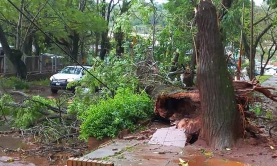 Temporal en Misiones: Puerto Iguazú fue la localidad más afectada por la tormenta