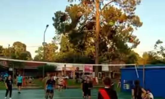 Red de voley en el Espacio Verde