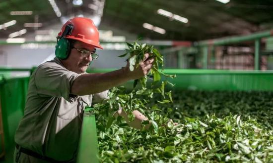 “Es muy beneficioso”, dijo Guillermo Fachinello sobre el dólar diferencial exportador