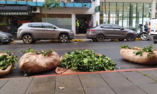Yerba: se mantiene el acampe en el norte y la paralización de cosecha en reclamo de un precio justo