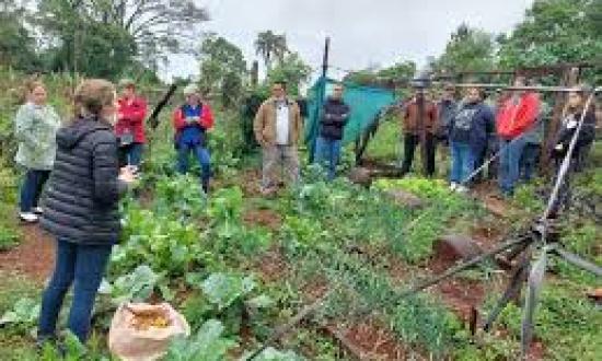 Las escuelas de Campo: un modelo de sostenibilidad y aprendizaje común...