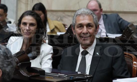 Edad de imputabilidad, reforma política y otras: cómo votarán los diputados “misioneristas” en el Congreso