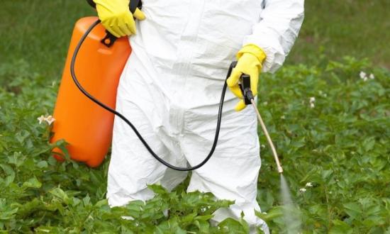 “La decisión es que no se use más glifosato en el 2025”, anticipó Sartori